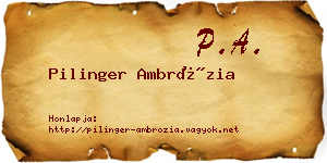 Pilinger Ambrózia névjegykártya